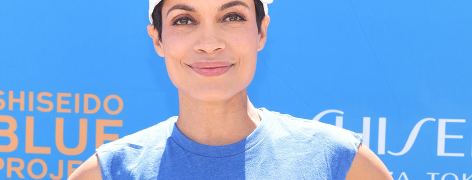 https://laelements.com/rosario-dawson-hosts-shiseido-blue-projects-3rd-annual-beach-clean-up/