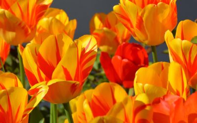 Spring glow-up steals from Medicube, Joico and more.