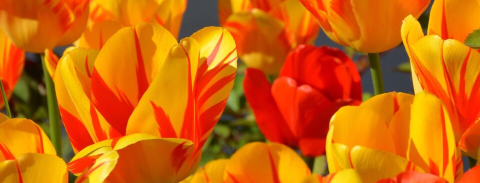 Spring glow-up steals from Medicube, Joico and more.