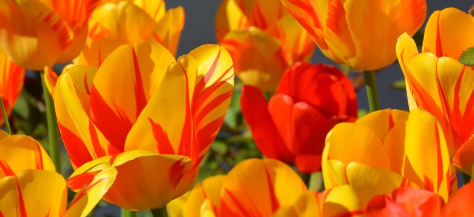 Spring glow-up steals from Medicube, Joico and more.